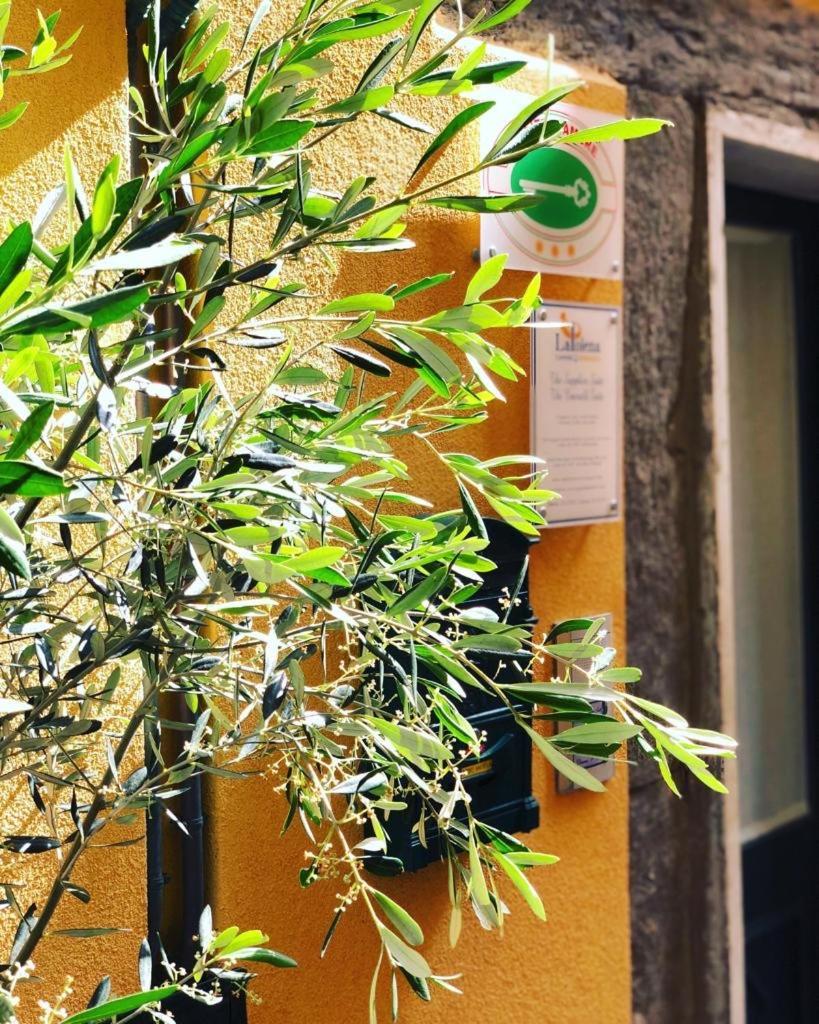 La Polena Camere Vernazza - Suite Vista Mare Экстерьер фото